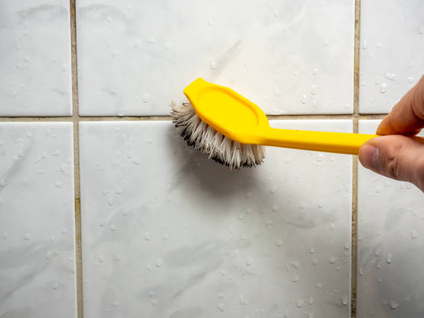 Best Black Mold Removal  in Weatherby Lake, MO