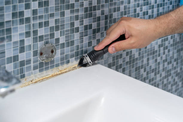 Best Fast Mold Removal  in Weatherby Lake, MO