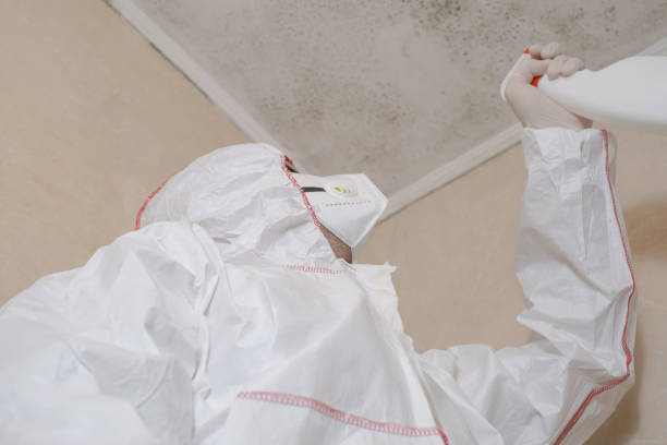 Best Local Mold Removal Service  in Weatherby Lake, MO