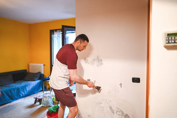Professional Mold Removal in Weatherby Lake, MO