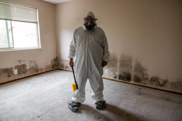 Best Home Mold Removal  in Weatherby Lake, MO